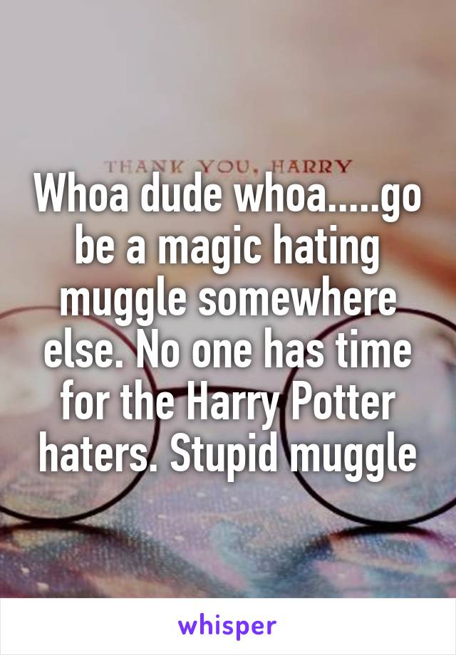 Whoa dude whoa.....go be a magic hating muggle somewhere else. No one has time for the Harry Potter haters. Stupid muggle