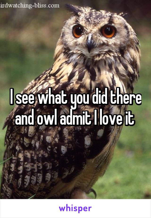I see what you did there and owl admit I love it 