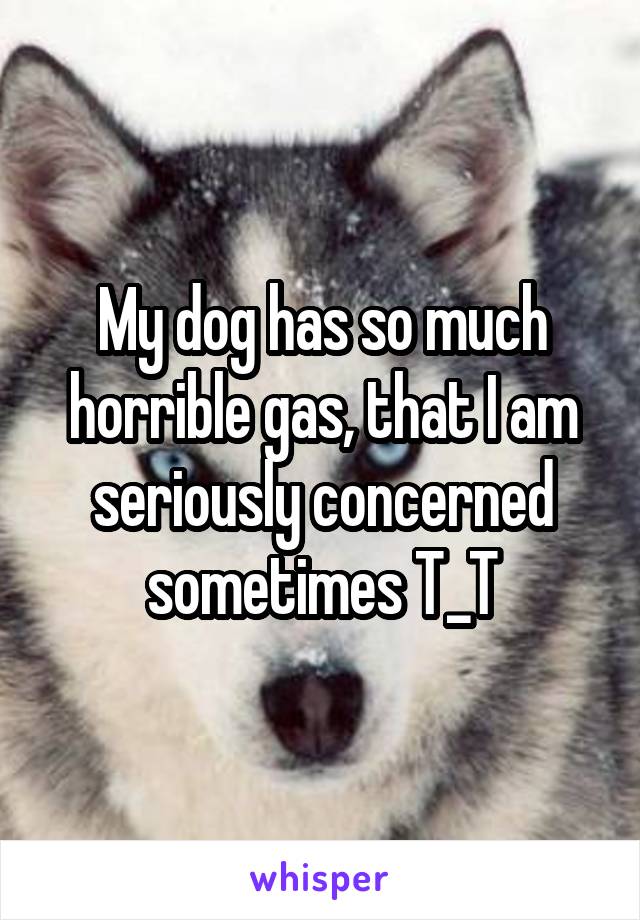 My dog has so much horrible gas, that I am seriously concerned sometimes T_T