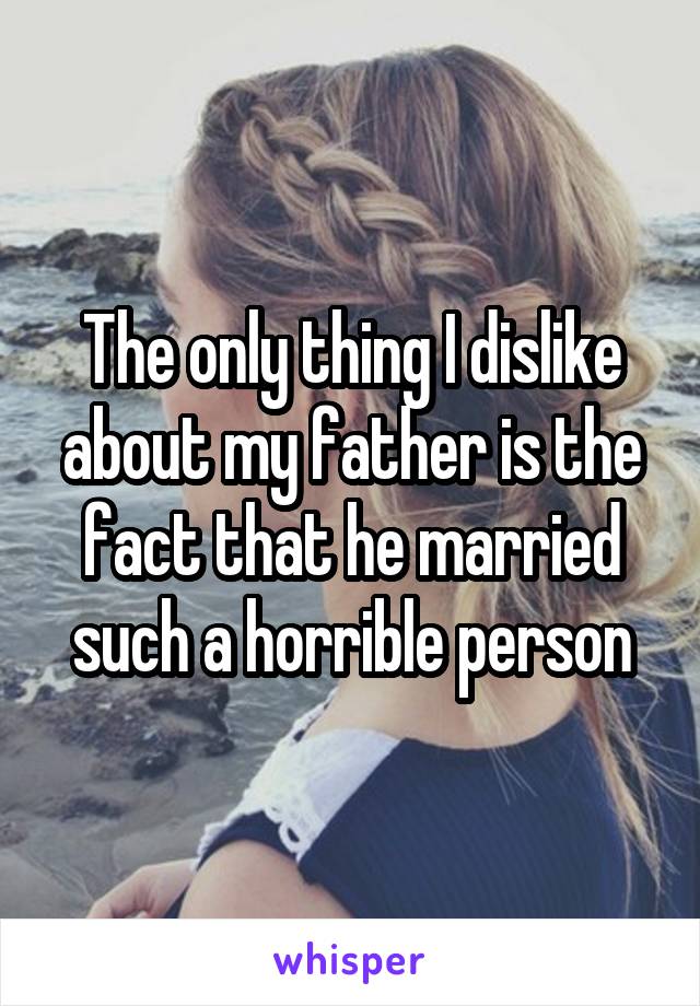 The only thing I dislike about my father is the fact that he married such a horrible person