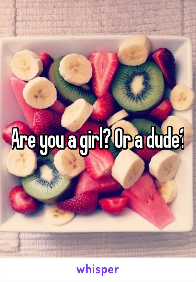 Are you a girl? Or a dude?