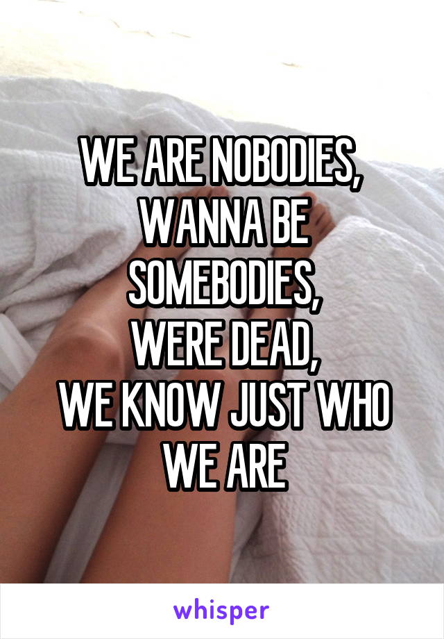 WE ARE NOBODIES, 
WANNA BE SOMEBODIES,
WERE DEAD,
WE KNOW JUST WHO WE ARE