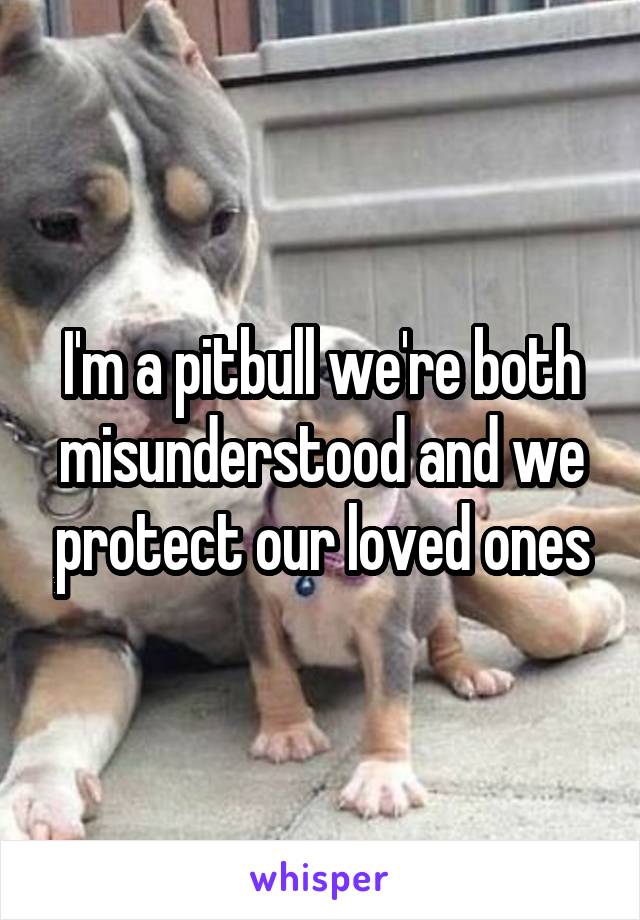 I'm a pitbull we're both misunderstood and we protect our loved ones