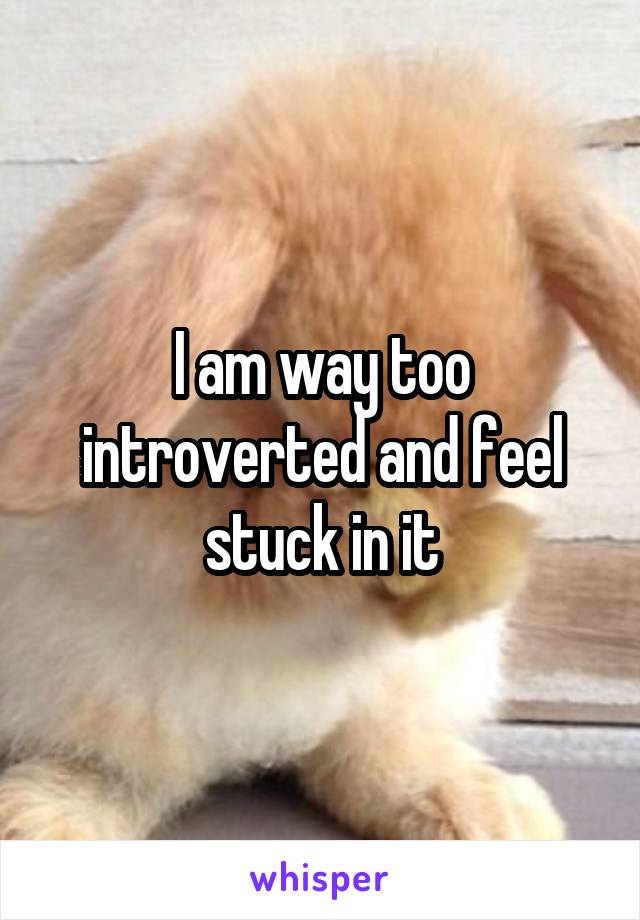 I am way too introverted and feel stuck in it