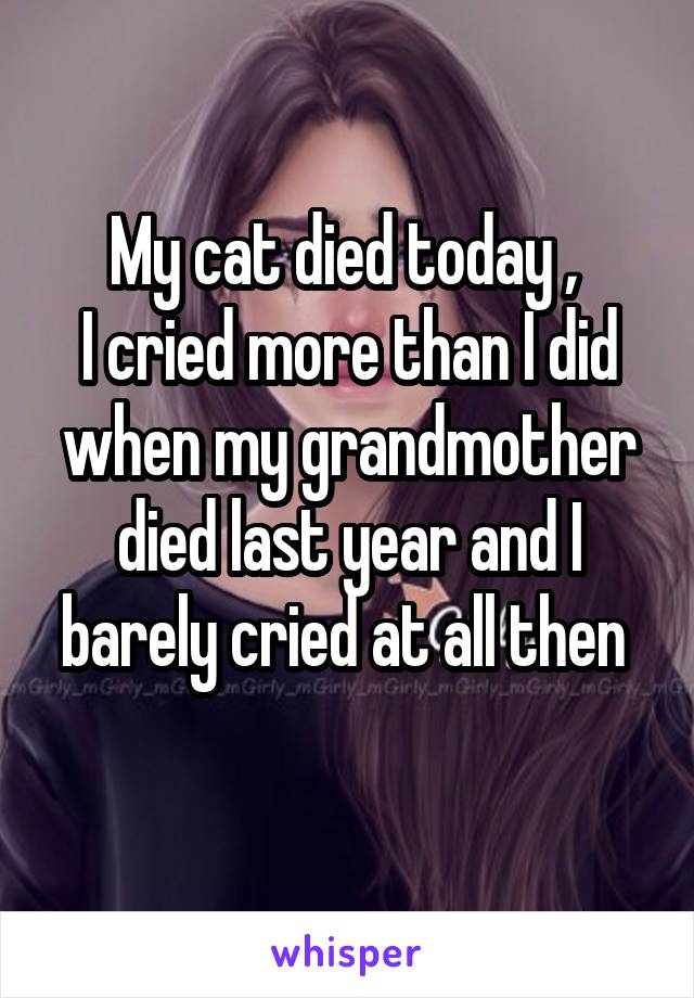 My cat died today , 
I cried more than I did when my grandmother died last year and I barely cried at all then 
