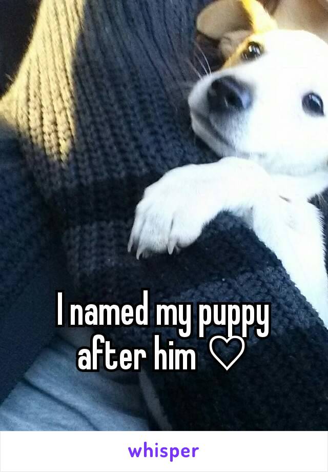 I named my puppy after him ♡
