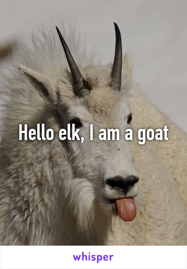 Hello elk, I am a goat