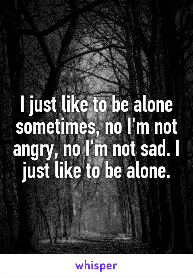 I just like to be alone sometimes, no I'm not angry, no I'm not sad. I just like to be alone.
