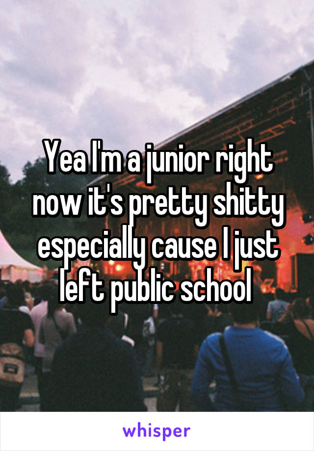 Yea I'm a junior right now it's pretty shitty especially cause I just left public school 