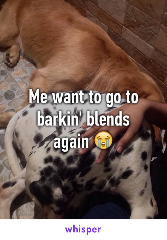 Me want to go to 
barkin' blends
again 😭