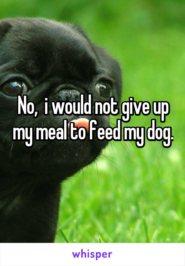No,  i would not give up my meal to feed my dog. 
