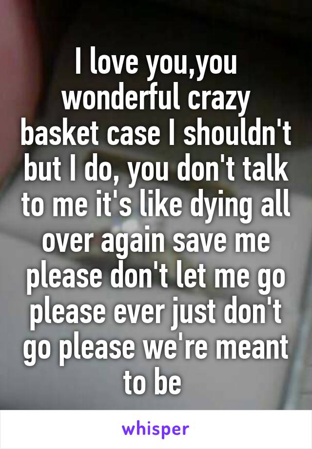I love you,you wonderful crazy basket case I shouldn't but I do, you don't talk to me it's like dying all over again save me please don't let me go please ever just don't go please we're meant to be 