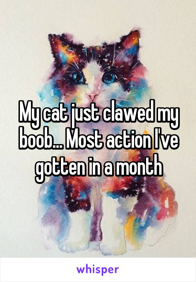 My cat just clawed my boob... Most action I've gotten in a month