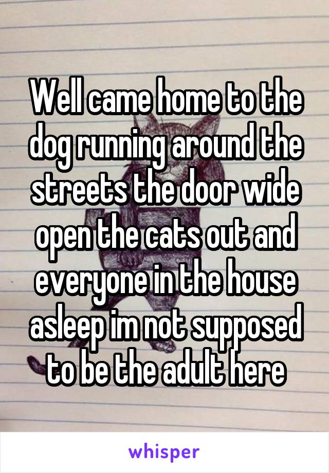 Well came home to the dog running around the streets the door wide open the cats out and everyone in the house asleep im not supposed to be the adult here