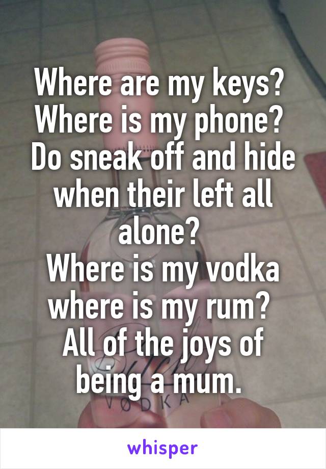 Where are my keys? 
Where is my phone? 
Do sneak off and hide when their left all alone? 
Where is my vodka where is my rum? 
All of the joys of being a mum. 