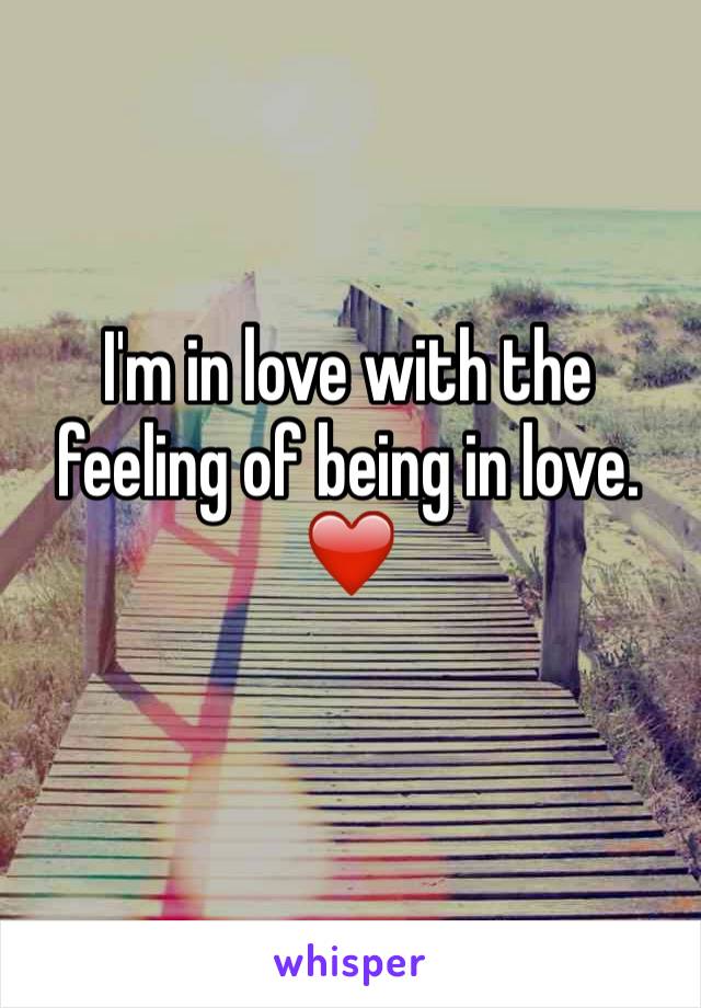 I'm in love with the feeling of being in love.
❤️