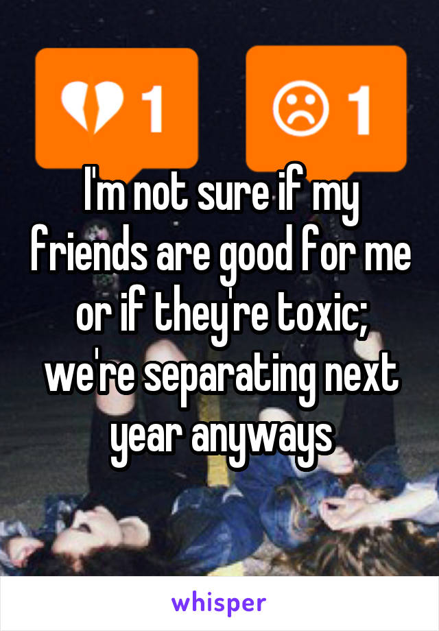 I'm not sure if my friends are good for me or if they're toxic; we're separating next year anyways