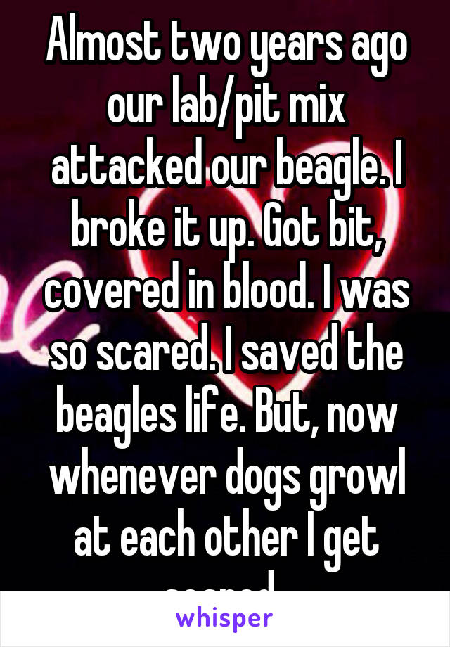 Almost two years ago our lab/pit mix attacked our beagle. I broke it up. Got bit, covered in blood. I was so scared. I saved the beagles life. But, now whenever dogs growl at each other I get scared..