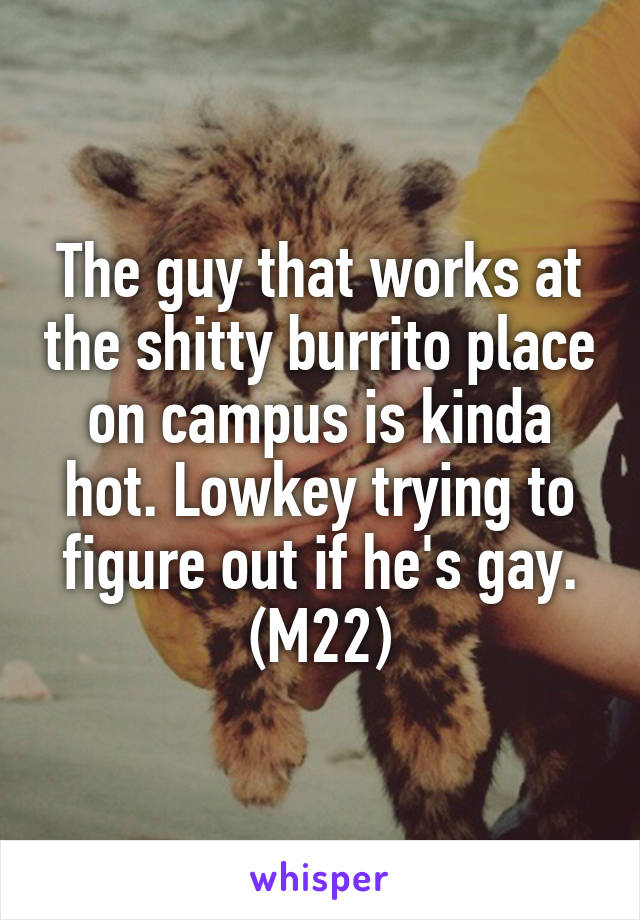 The guy that works at the shitty burrito place on campus is kinda hot. Lowkey trying to figure out if he's gay.
(M22)