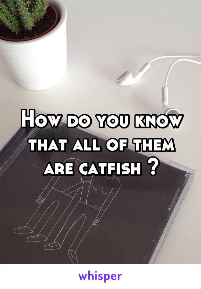 How do you know that all of them are catfish ?