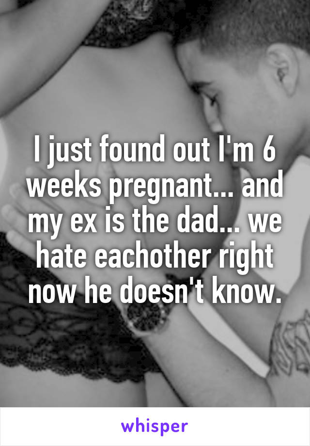 I just found out I'm 6 weeks pregnant... and my ex is the dad... we hate eachother right now he doesn't know.