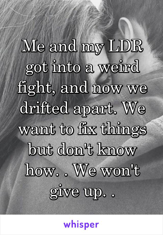 Me and my LDR got into a weird fight, and now we drifted apart. We want to fix things but don't know how. . We won't give up. .