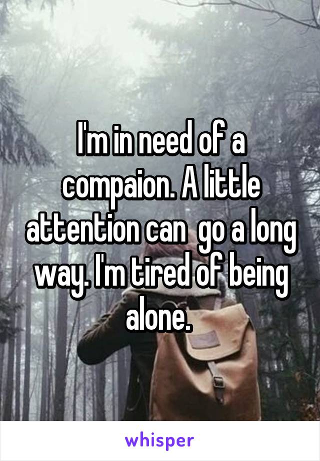 I'm in need of a compaion. A little attention can  go a long way. I'm tired of being alone. 