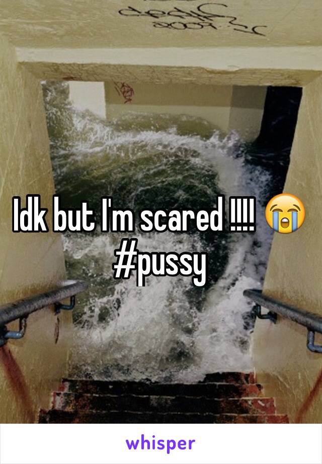 Idk but I'm scared !!!! 😭#pussy