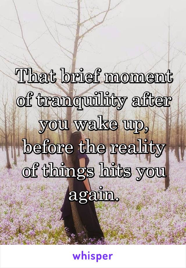 That brief moment of tranquility after you wake up, before the reality of things hits you again.