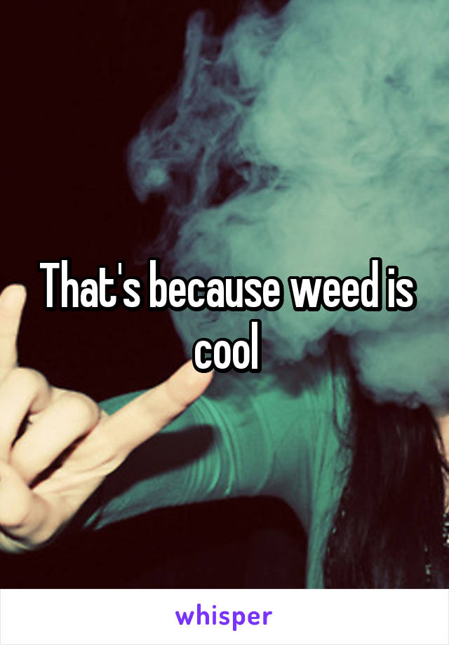 That's because weed is cool