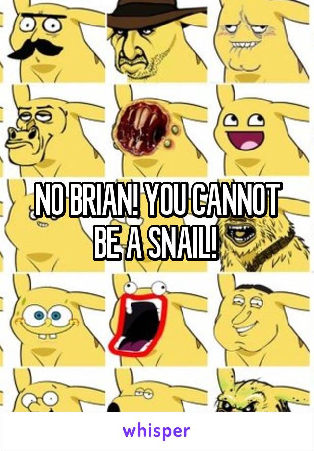 NO BRIAN! YOU CANNOT BE A SNAIL! 