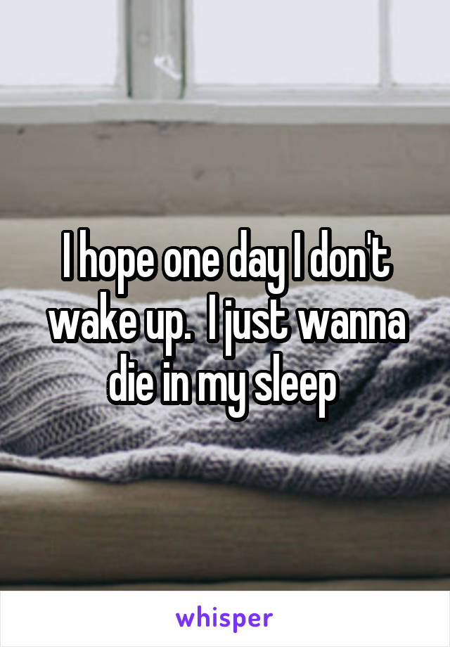 I hope one day I don't wake up.  I just wanna die in my sleep 