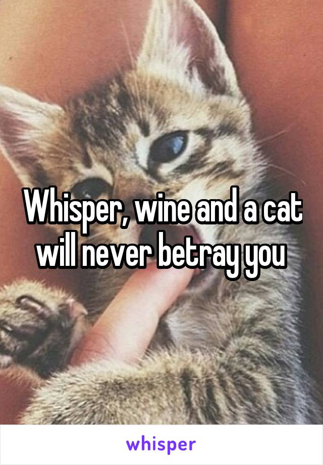 Whisper, wine and a cat will never betray you 