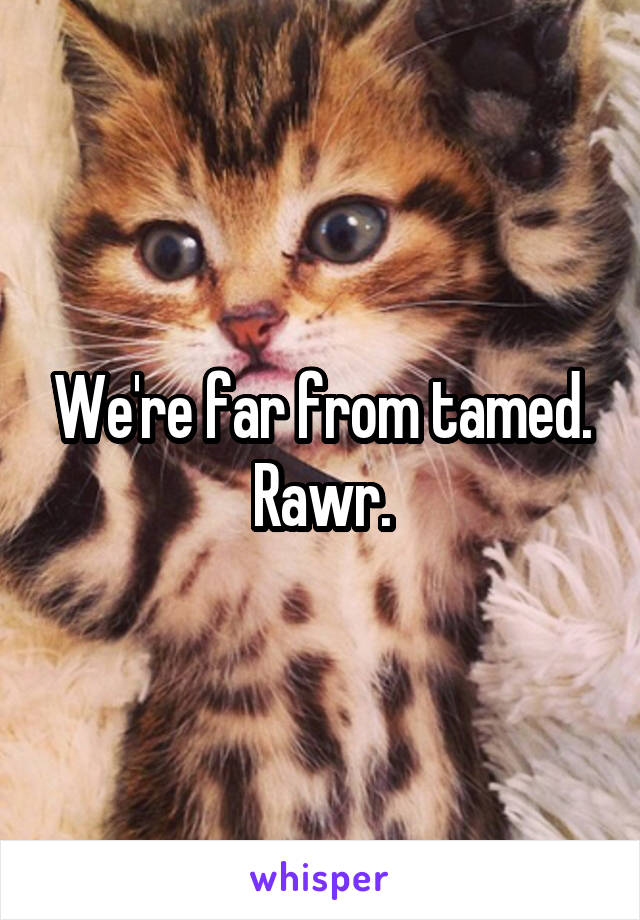 We're far from tamed. Rawr.