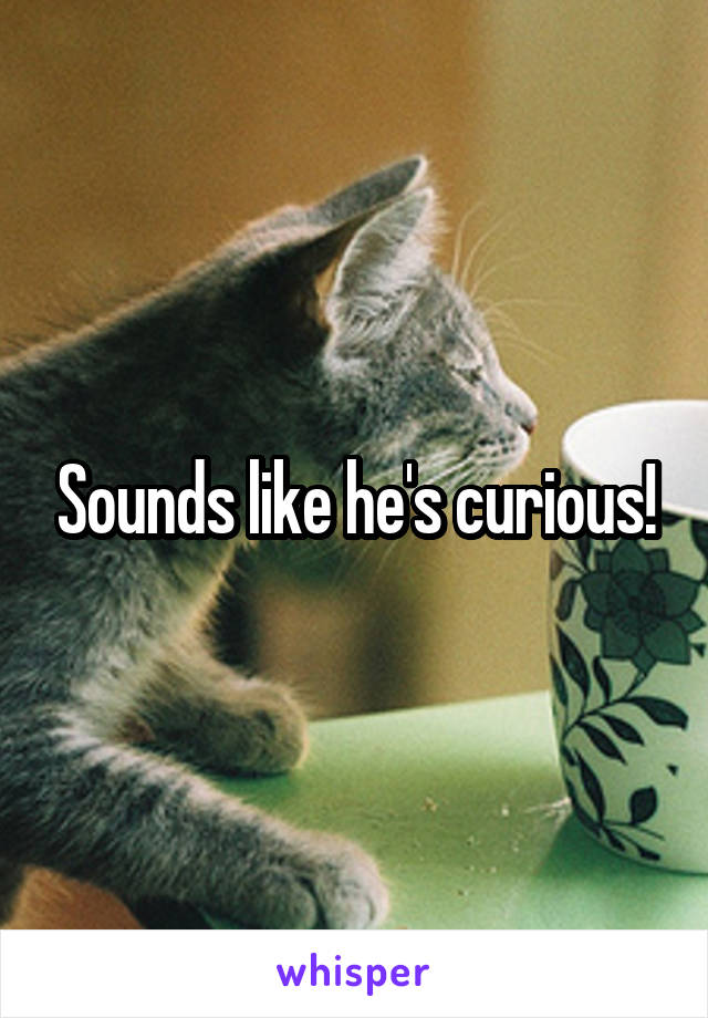 Sounds like he's curious!