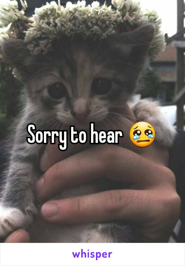 Sorry to hear 😢