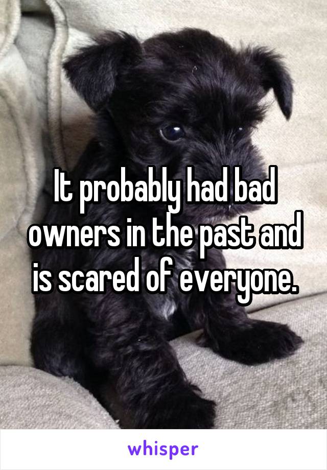 It probably had bad owners in the past and is scared of everyone.