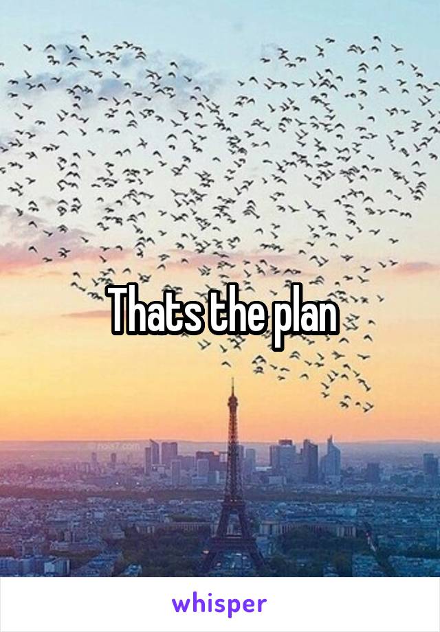 Thats the plan