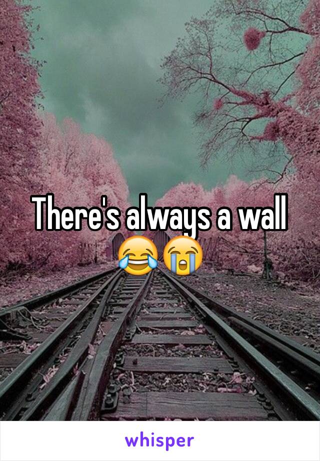 There's always a wall 😂😭