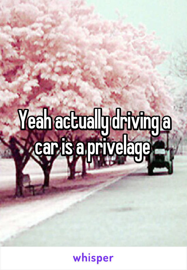 Yeah actually driving a car is a privelage 