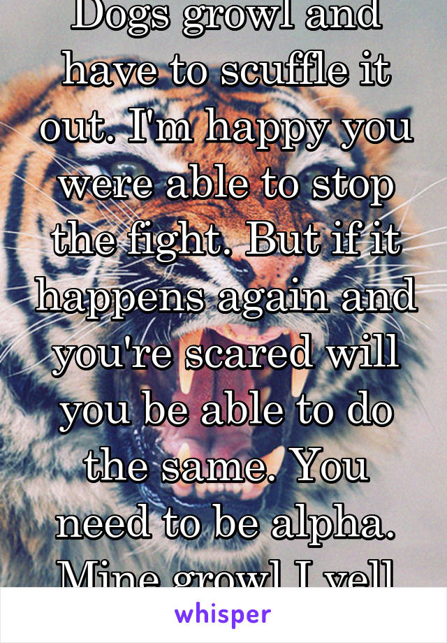 Dogs growl and have to scuffle it out. I'm happy you were able to stop the fight. But if it happens again and you're scared will you be able to do the same. You need to be alpha. Mine growl I yell hey