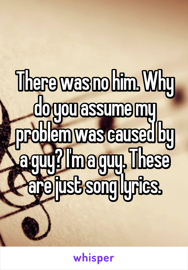 There was no him. Why do you assume my problem was caused by a guy? I'm a guy. These are just song lyrics.