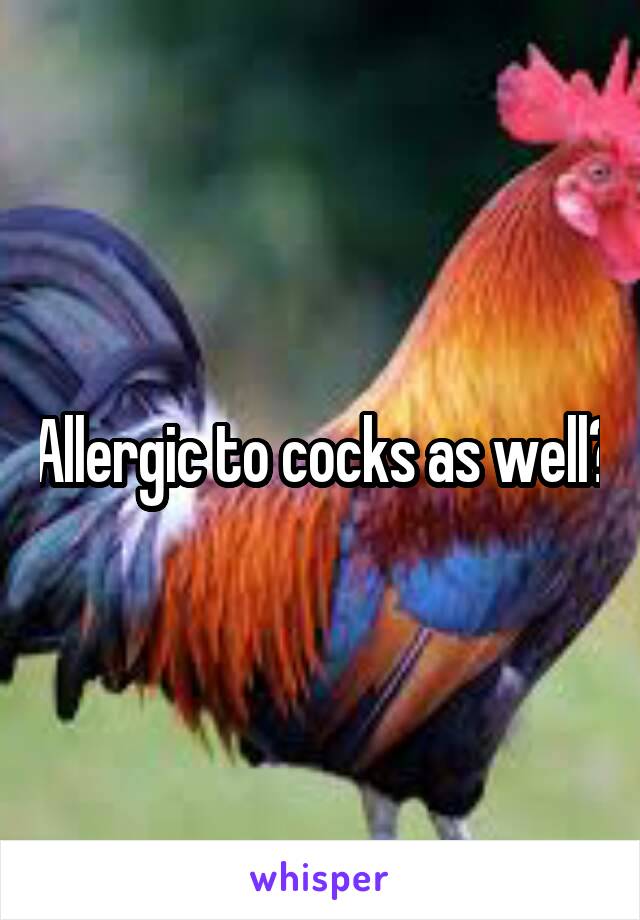 Allergic to cocks as well?