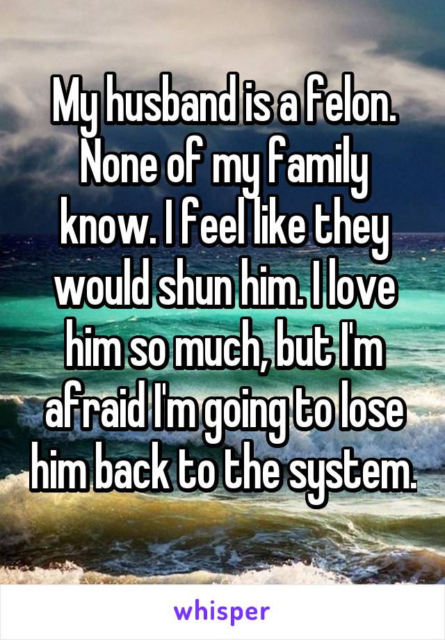My husband is a felon. None of my family know. I feel like they would shun him. I love him so much, but I'm afraid I'm going to lose him back to the system. 