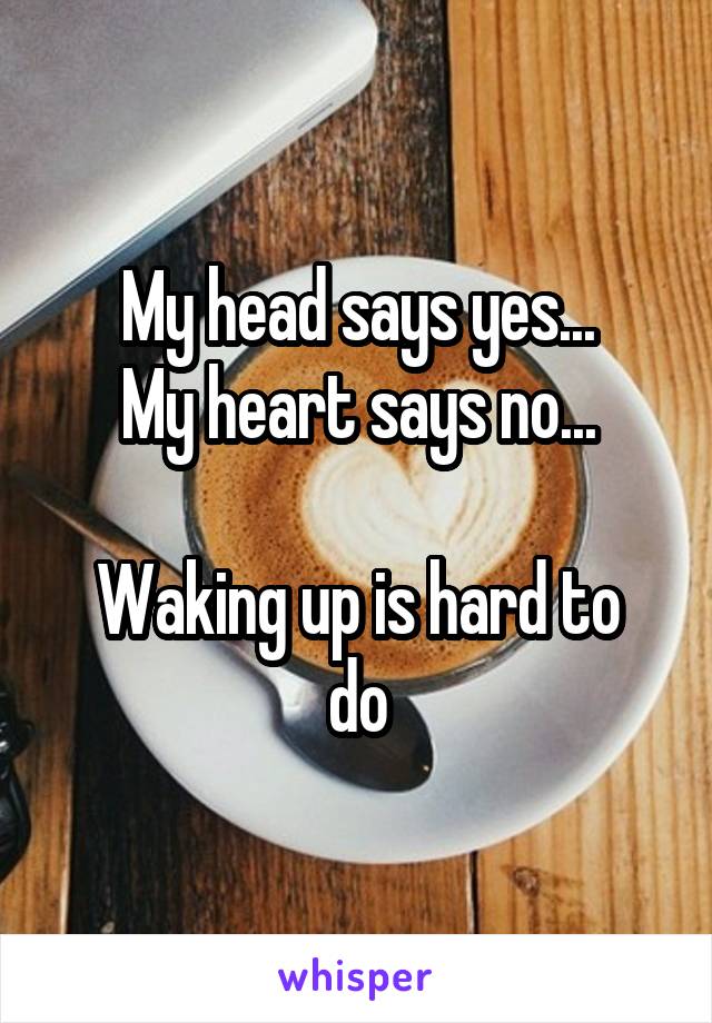 My head says yes...
My heart says no...

Waking up is hard to do