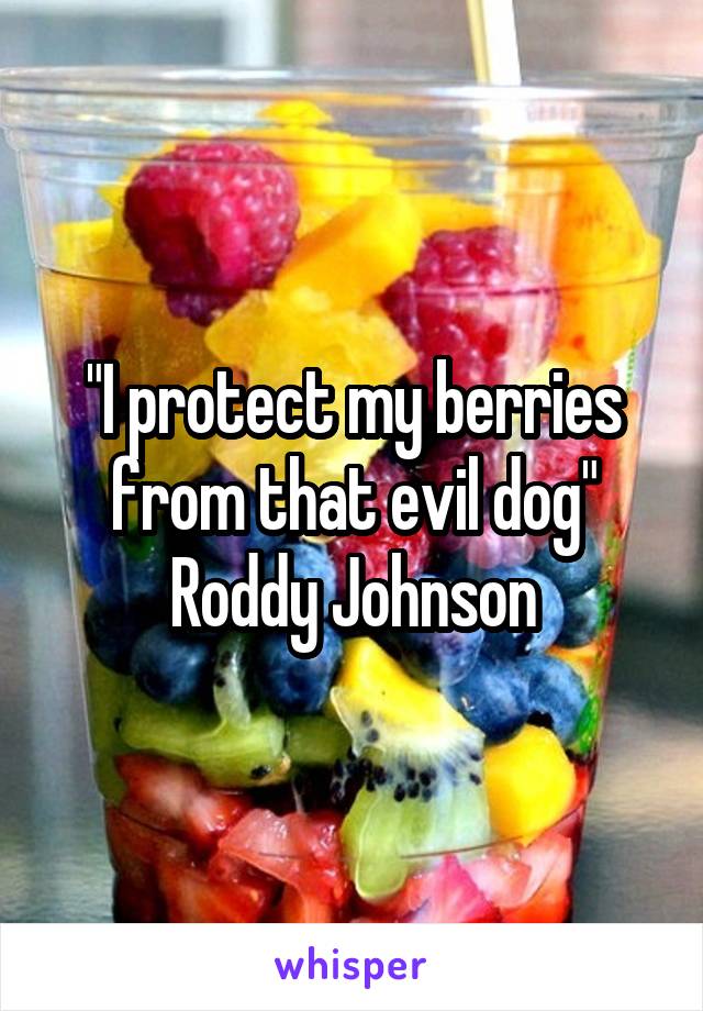 "I protect my berries from that evil dog" Roddy Johnson