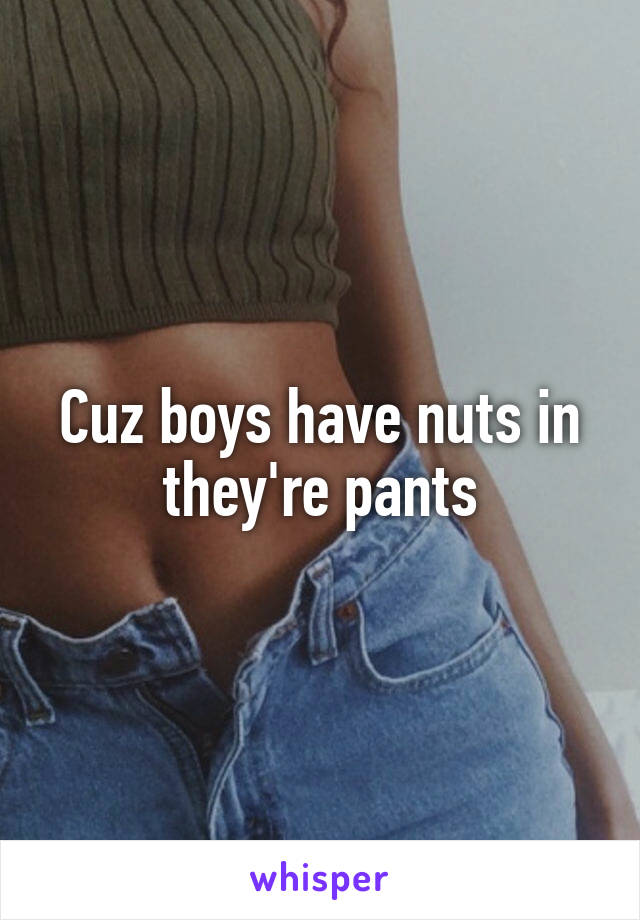 Cuz boys have nuts in they're pants