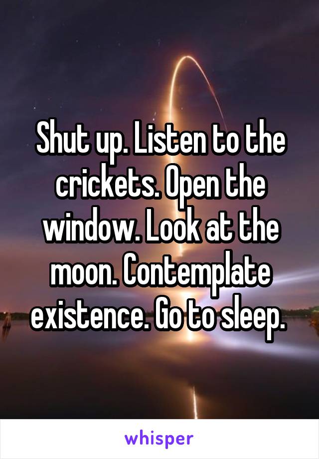 Shut up. Listen to the crickets. Open the window. Look at the moon. Contemplate existence. Go to sleep. 