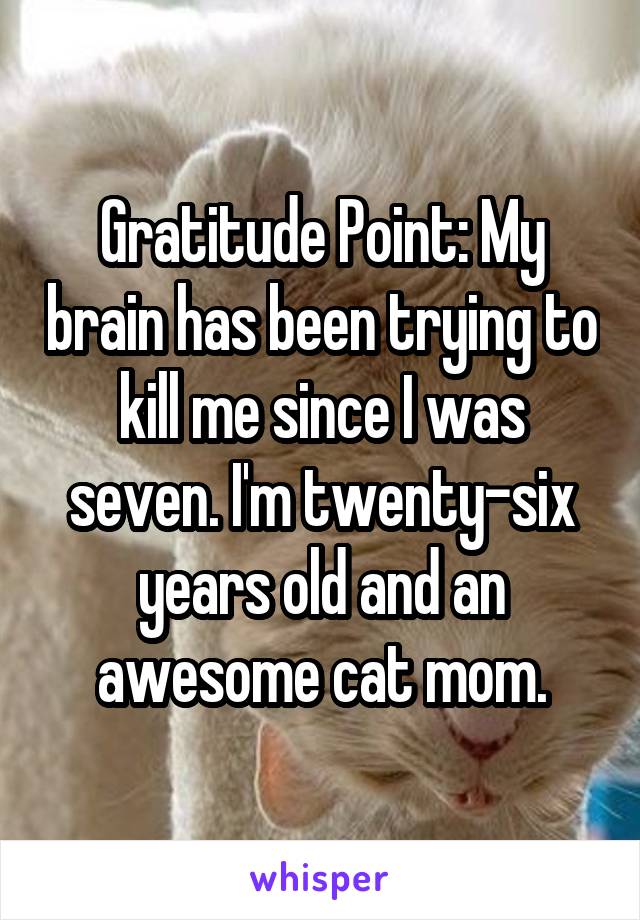 Gratitude Point: My brain has been trying to kill me since I was seven. I'm twenty-six years old and an awesome cat mom.