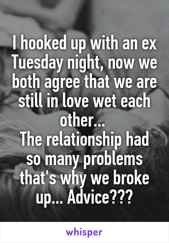 I hooked up with an ex Tuesday night, now we both agree that we are still in love wet each other... 
The relationship had so many problems that's why we broke up... Advice???